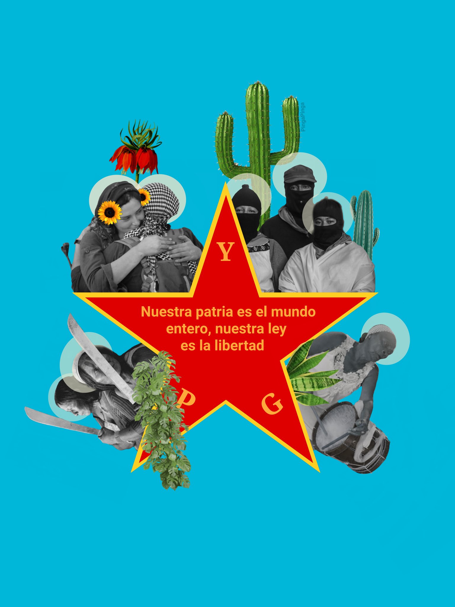 O QUE HÁ DA EXPERIÊNCIA DE ROJAVA EM NOSSAS LUTAS? – Teia dos Povos