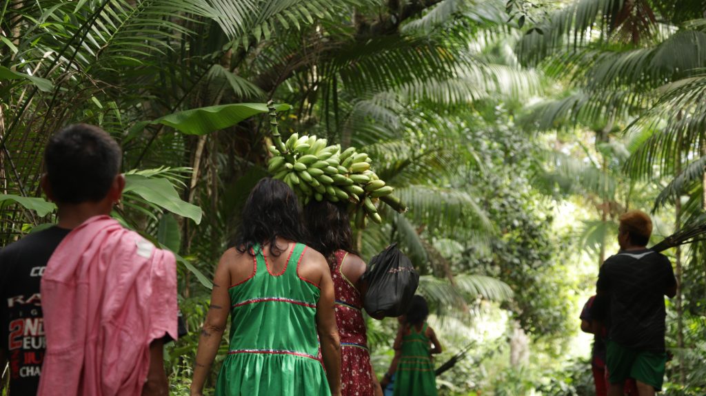 Maxakalis andam dentro da agrofloresta do Assentamento Terra Vista. Uma indígena carrega um cacho de bananas.